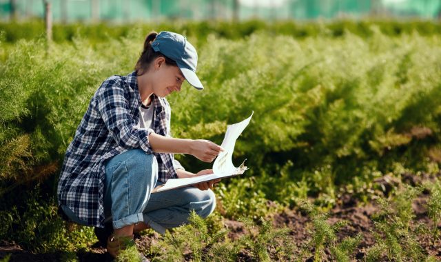 56984014-young-female-farmer-preparing-for-harvest-while-working