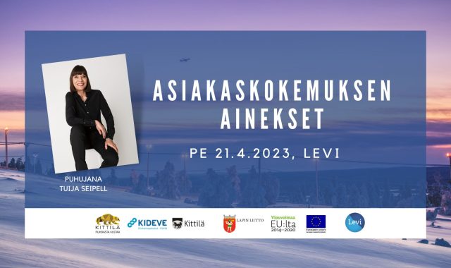 ASIAKASKOKEMUKSEN AINEKSET