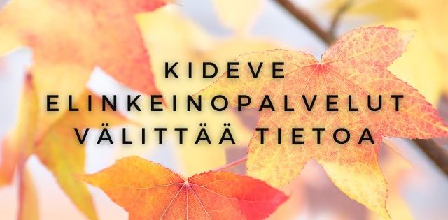 Kideve_valittaa_tietoa