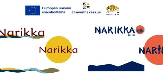 Narikka_visu_äänestys (4)