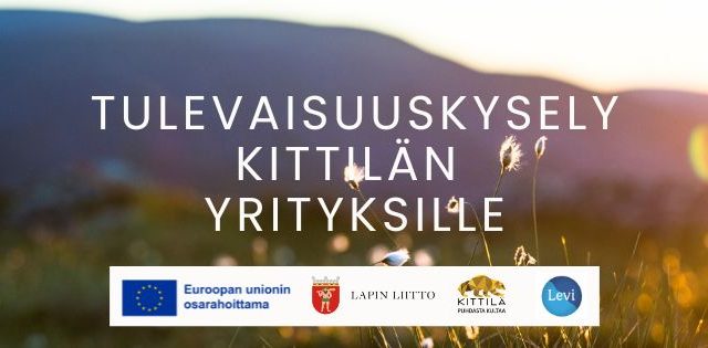 tulevaisuuskysely