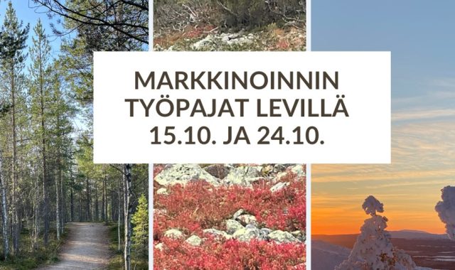 markkinoinnin_tyopajat_levilla24