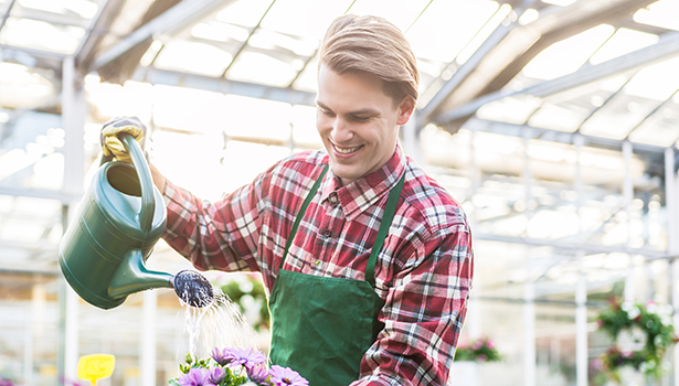 Skilled young man watering houseplants while working as florist