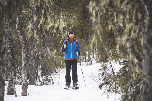 Ihminen hiihto, metsä naavapuut, Kittilä