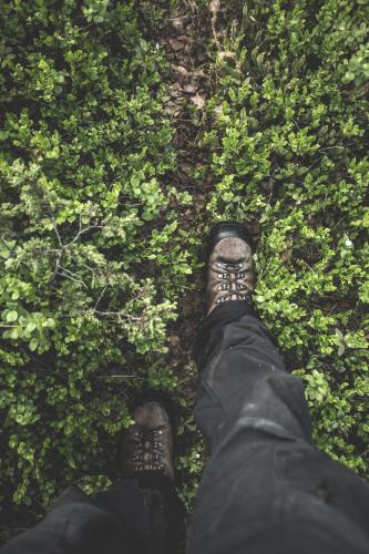Pieni metsäpolku, Kittilä kesäkuu 2016Small forest trail, Kittilä Finland june 2016