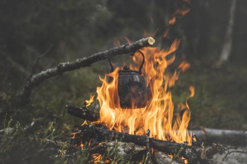 Nokipannukahvi, Kittilä