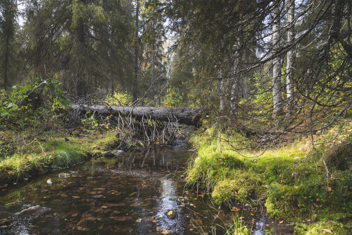 Puhdas vesi ja ilma kuva Kittilän kunta Timo Veijalainen web