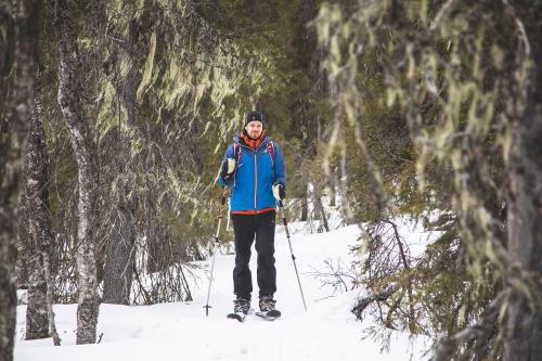 Ihminen hiihto, metsä naavapuut, Kittilä