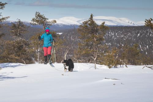 Ihminen ja koira, Pallas tunturi, Kittilä