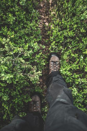 Pieni metsäpolku, Kittilä kesäkuu 2016 Small forest trail, Kittilä Finland june 2016
