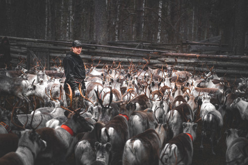 porot aidassa ihminen kittilan kunta kuva marko vasara web