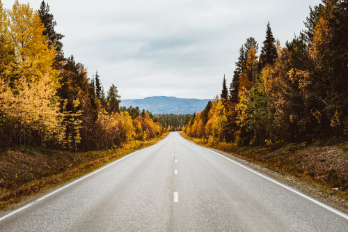 tie ruska puut kittilan kunta kuva marko vasara web