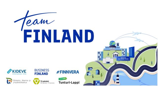 Team Finland logo