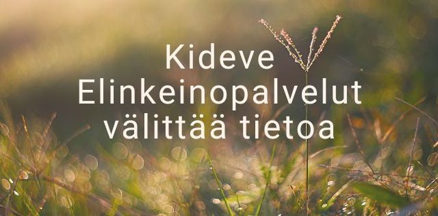 uutiskuvake_syksy